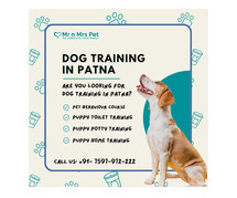 Dog Training School in Patna