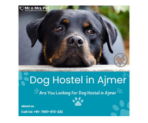 Dog Hostel in Ajmer