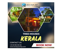 Delightful Tree House Resorts in Kerala For Staggering Regular Perspectives!