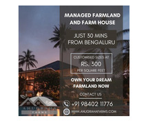 Agricultural Land for Sale in Bangalore - Unlock Prosperity