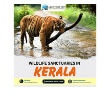Natural life Safe-havens In Kerala That Exhibit South India's Fascinating Fauna and Verdure In 2023