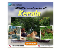 Natural life Safe-havens In Kerala That Exhibit South India's Fascinating Fauna and Verdure In 2023!
