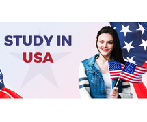 Shape Up Your Future With USA Study Visa Consultants Of Visa 24