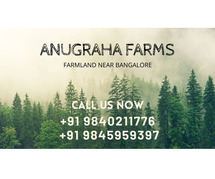 Buy Farmland Near Bangalore - Invest Wisely: Anugraha Farms