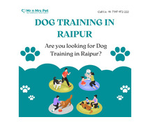 Dog Training School in Raipur