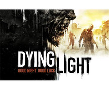 Dying Light Laptop and Desktop Computer Game