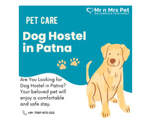 Dog Sitter in Patna
