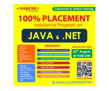 100% Placement Assistance Program On Java Developer & Dot Net - Naresh IT