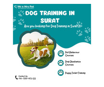 Dog Training School in Surat
