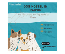 Dog Sitter in Raipur