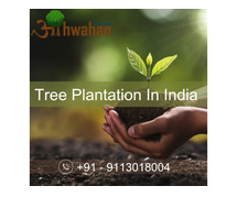Tree Plantation in India NGO