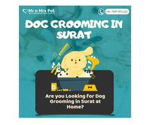 Dog Groomers in Surat