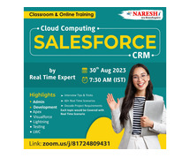 Free Demo On Salesforce CRM by Real Time Expert - NareshIT