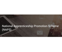 Avail benefits of national apprenticeship promotion scheme!