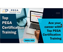 PEGA CSSA Certification course in hyderabad