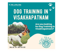 Dog Training School in Visakhapatnam