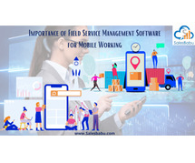 Importance of Field Service Management Application For Mobile Working
