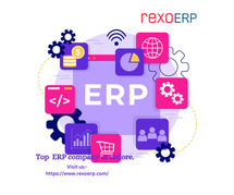 Top ERP company in Indore.