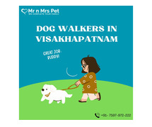Dog Walking Services in Visakhapatnam