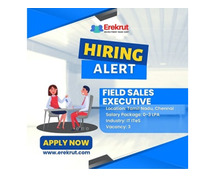 Field Sales Executive Job At Koka Technology