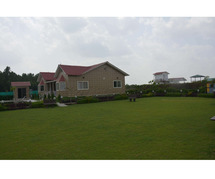 Green Beauty Farm House For Sale in Noida