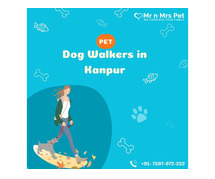 Dog Walking Services in Kanpur