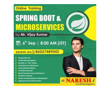 Free Demo On Spring Boot & MicroServices in NareshIT