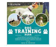 Dog Training School in Agra