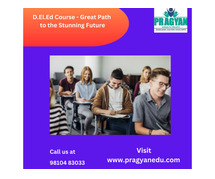 D.El.Ed Course - Great Path to the Stunning Future