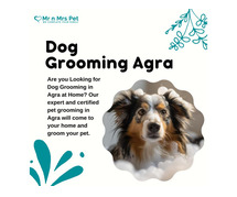 Dog Groomers in Agra