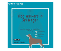 Dog Walkers in Sri Nagar
