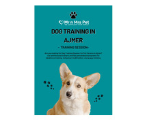 Dog Training School in Ajmer