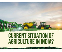 Current situation of agriculture in India in 2023