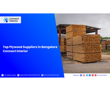 Best Plywood Interiors Suppliers in Bangalore - Connect Interior