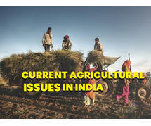 what are the current agricultural issues in India?