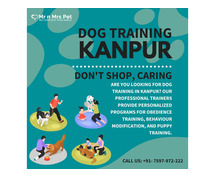Dog Training School in Kanpur