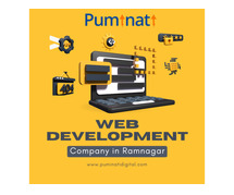 Best Web Development Company in Ramnagar | Puminati Digital