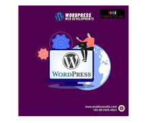 Prabhu Studio: Your Trusted Partner for Custom WordPress Web Development
