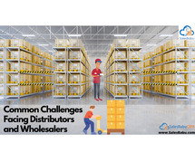Common Challenges Facing Distributors and Wholesalers