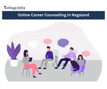 Online Career Counselling in Nagaland