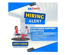 Customer Support Executive Job At Solasta Ayer Pvt. Ltd.
