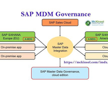 SAP MDM Governance