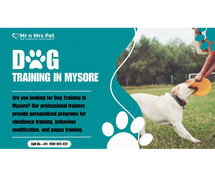 Dog Training School in Mysore