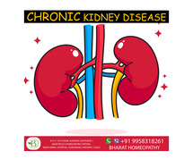 Chronic Kidney Disease(CKD): Causes, Symptoms, and Treatment