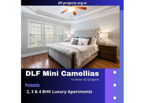 DLF Mini Camellias Sector 42 Gurgaon | Celebrate The Feel Of Your House
