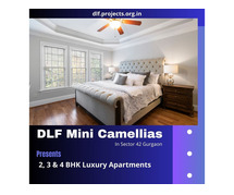 DLF Mini Camellias Sector 42 Gurgaon | Celebrate The Feel Of Your House