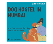 Dog Hostel & Dog Sitter in Mumbai | Mr n Mrs Pet