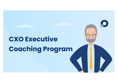 CXO executive coaching program