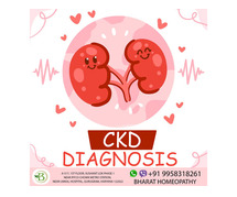 Knowing the Warning Signs of High Creatinine Levels