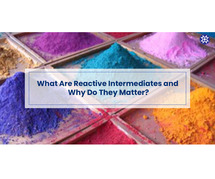 What Are Reactive Intermediates and Why Do They Matter?